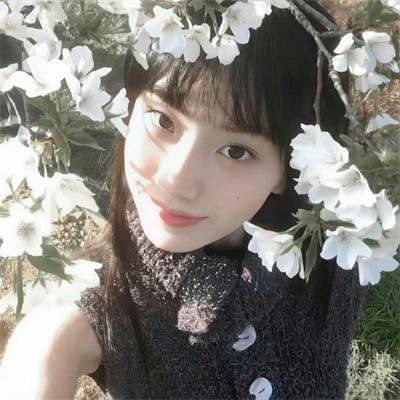 安娜和狼