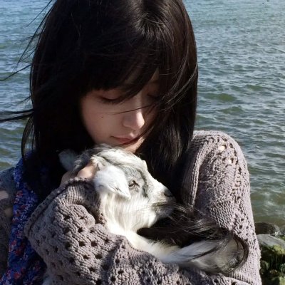花落水流红